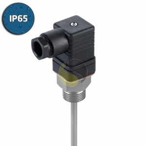 Plug-In Hirschmann RTD Sensor