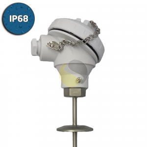 Hygienic RTD (Pt100) Sensor IP68