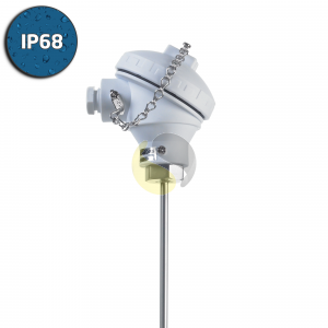 Pt100 RTD Sensor with IP68 FDA Approved (KPP) Head