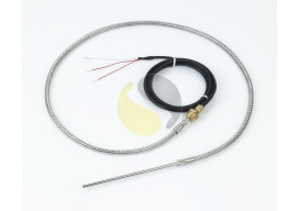 Pt100 Load Temperature Probe for Autoclaves 