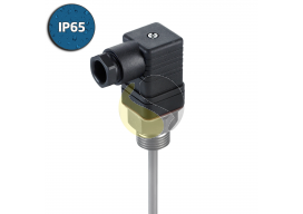 Plug-In Hirschmann RTD Sensor
