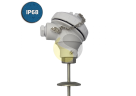 Hygienic RTD (Pt100) Sensor IP68