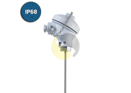 Pt100 RTD Sensor with IP68 FDA Approved (KPP) Head