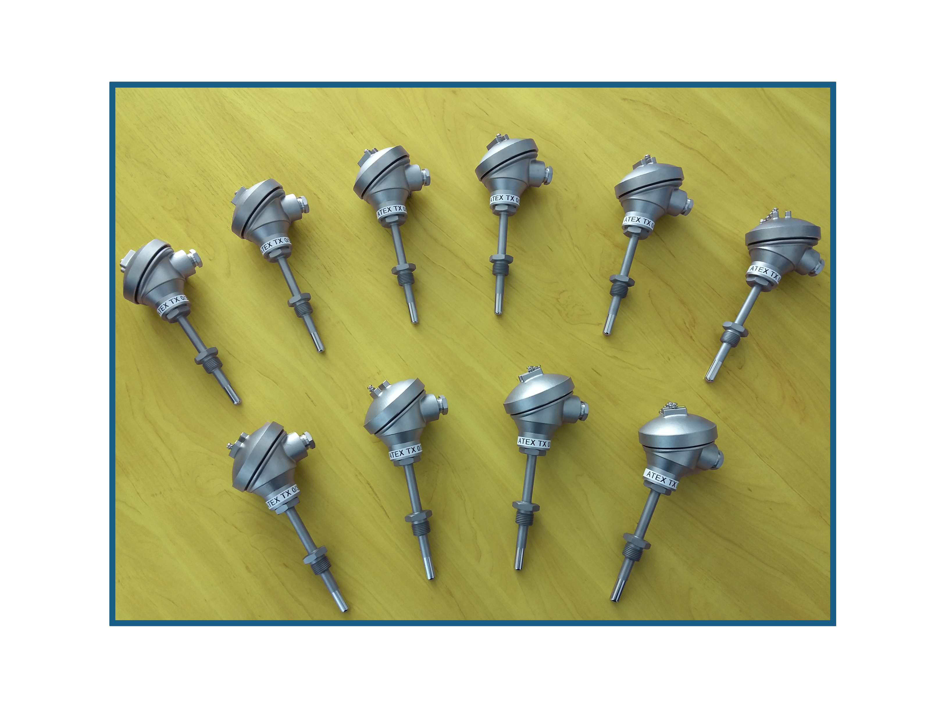 Variety of Intrinsically safe temperature Sensors